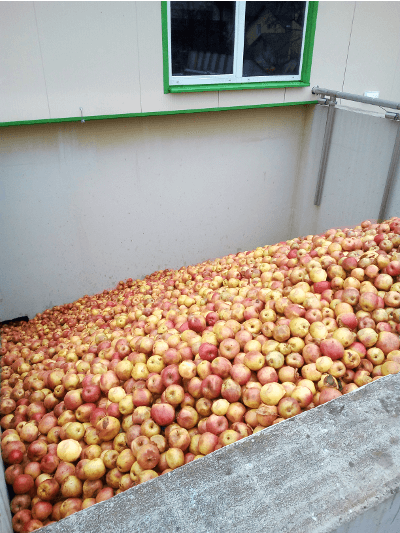 Obstbunker