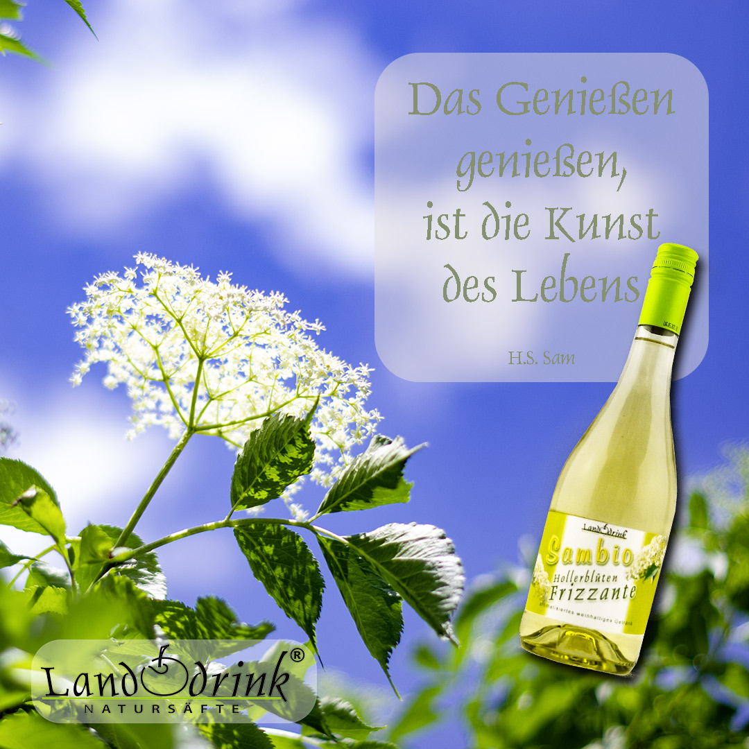 Sambio - Frizzante mit Holunderblütengeschmack